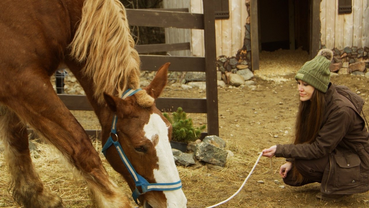 December Horses Movie Screenshot 1