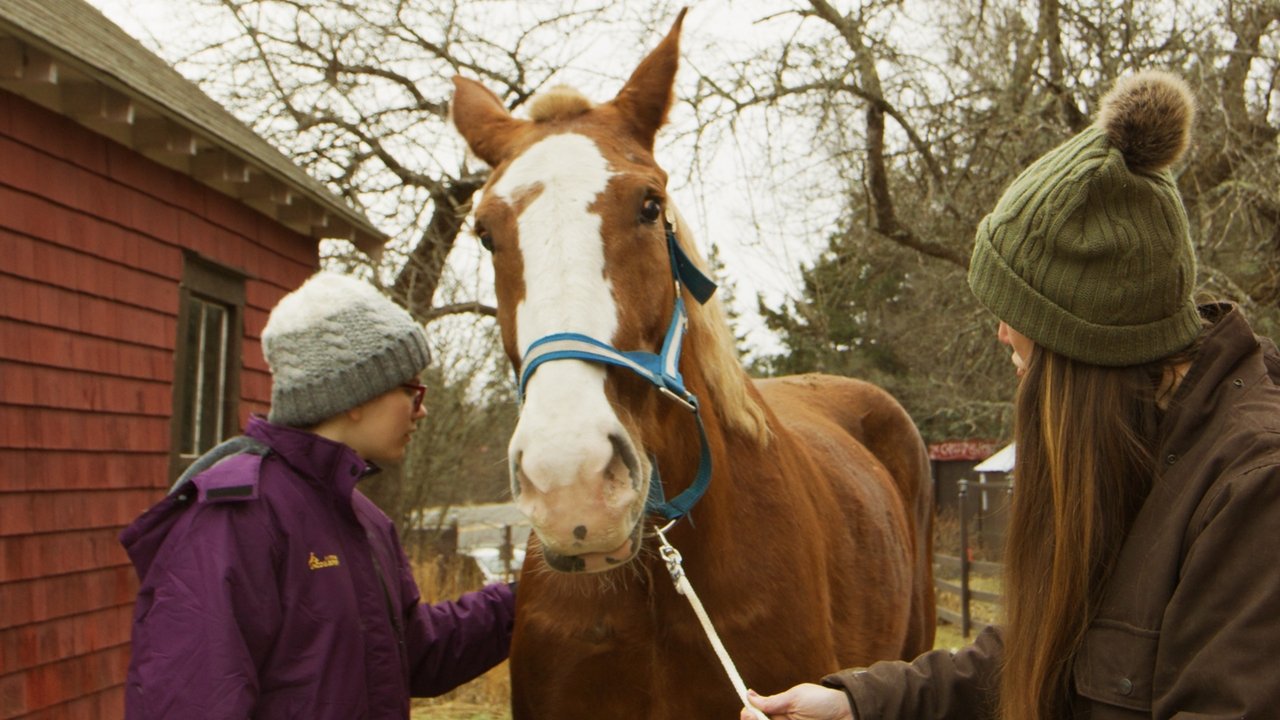 December Horses Movie Screenshot 3