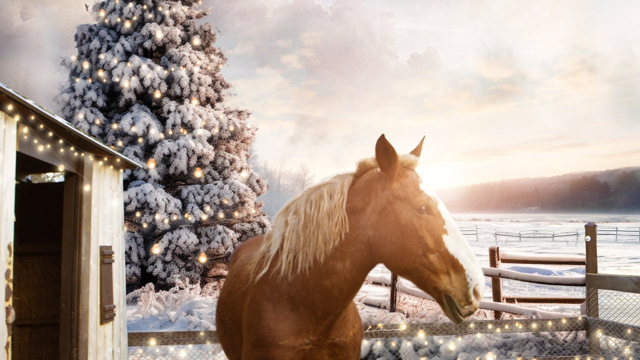 December Horses Movie Screenshot 2