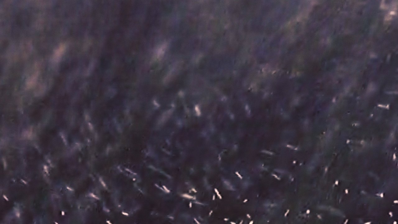 Inspection 01 Movie Screenshot 4