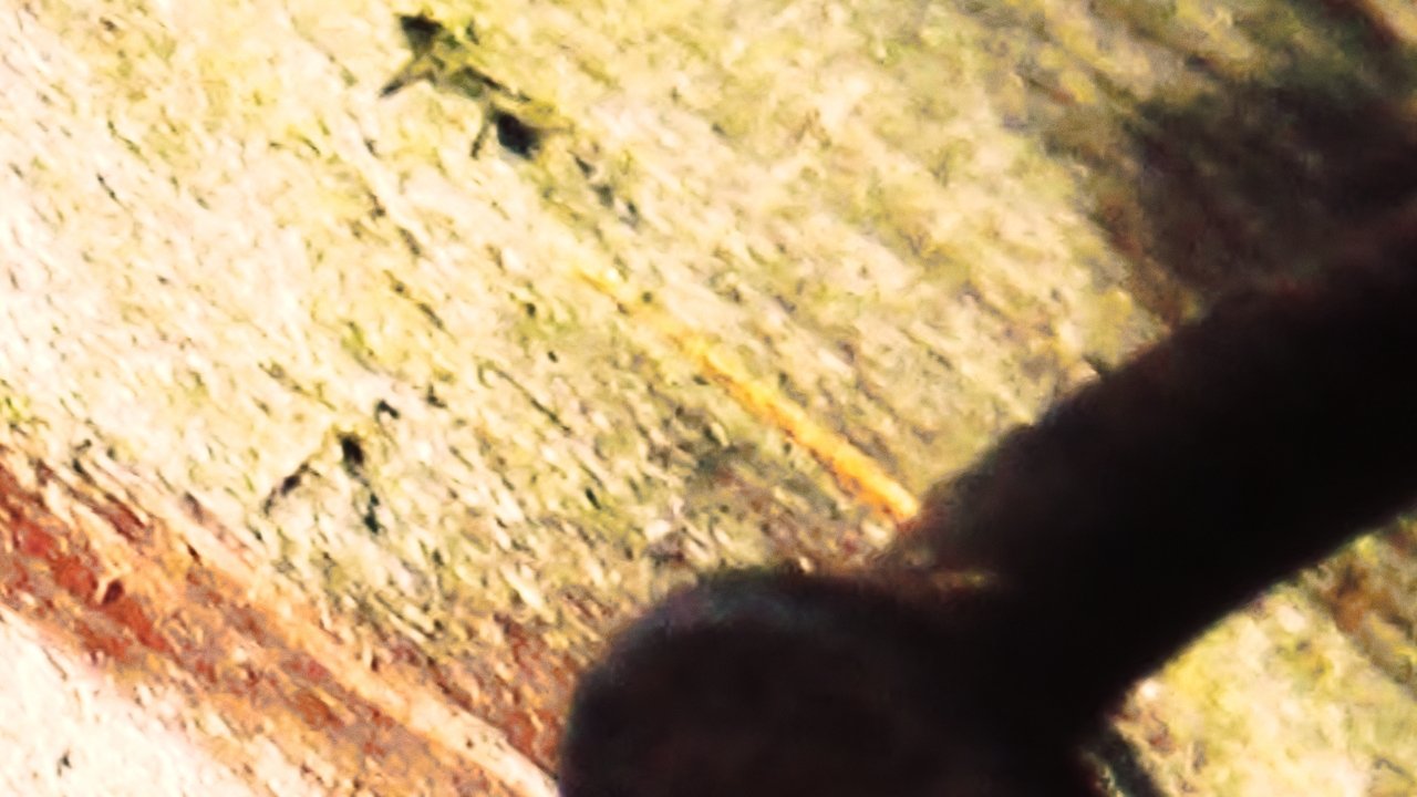 Inspection 01 Movie Screenshot 3