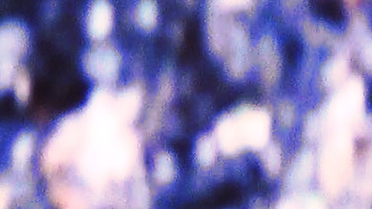 Inspection 01 Movie Screenshot 1