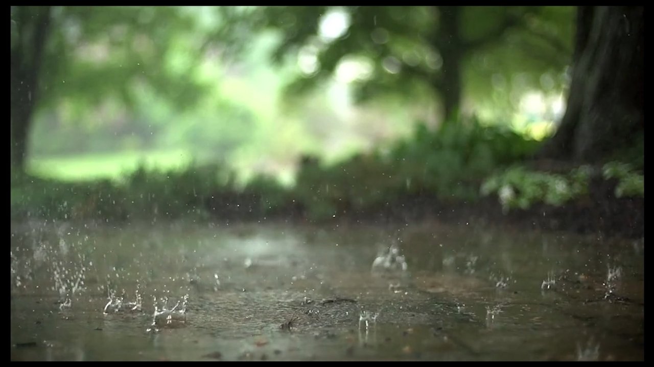 Reflections in a Raindrop: A Student Film Movie Screenshot 1