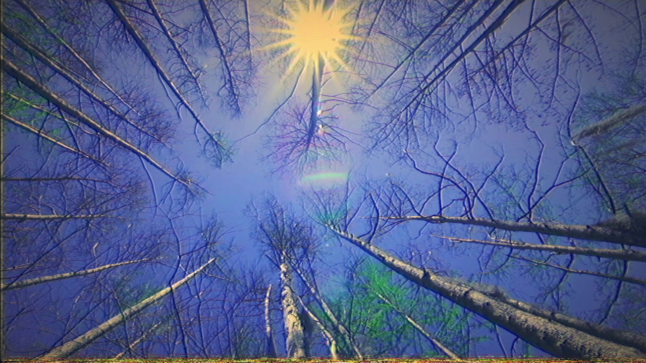 Cologne: artificial (Labajura Remix) Movie Screenshot 1