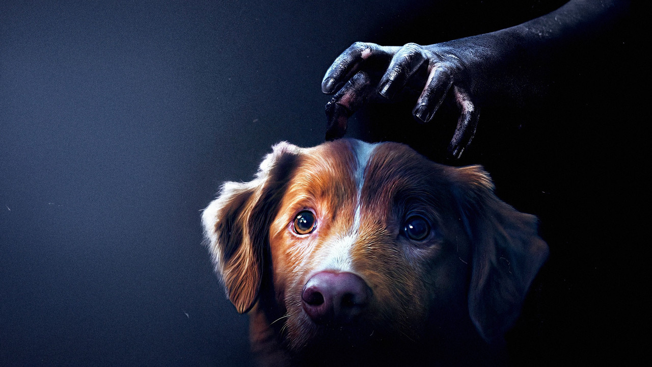 Good Boy Movie Screenshot 3